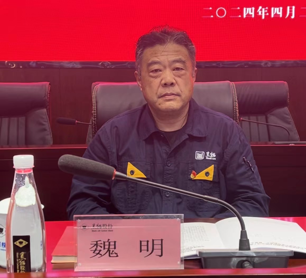 4 黑貓股份黨委副書記、董事長魏明出席會議.jpg